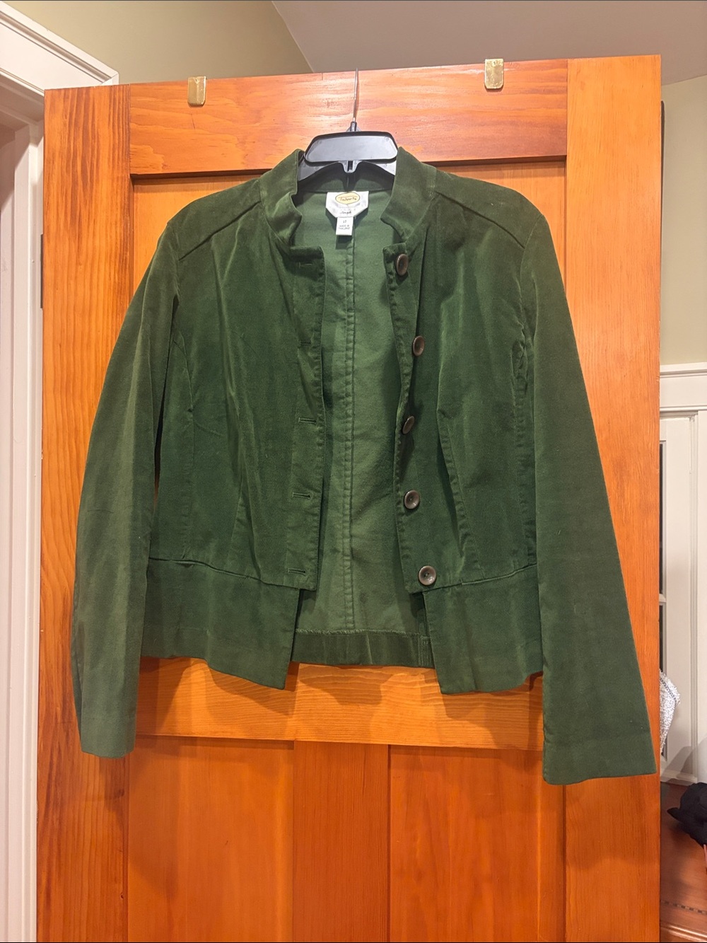Talbots Olive Green Suede Button-Front Jacket